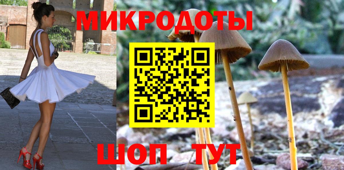 как найти   Псилоцибиновые грибы GOLDEN TEACHER  Вход с VPN  Урус-Мартан 